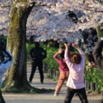 転倒の原因や効果的な運動方法