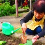 【今から見つける高齢者の趣味】長生きの秘訣は生きがいや生活の楽しみ